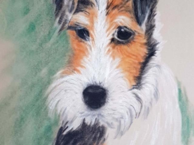 Foxterrier Gemälde Pastell Hund Original Tier Natur Signiert Fox Terrier - 1