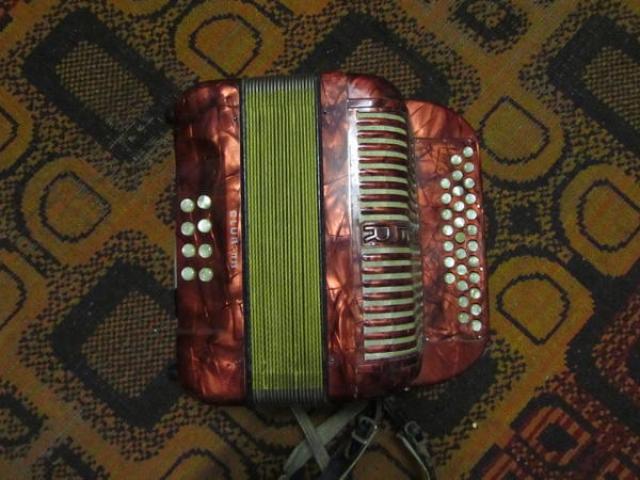 Hohner Akkordeon - 1